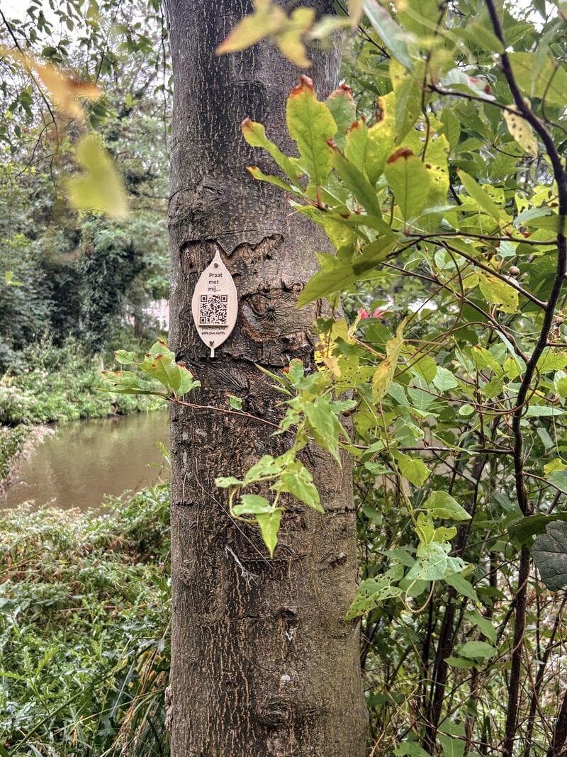 A wooden leaf-shaped tag with a QR code attached to a tree trunk in Vliegenbos.