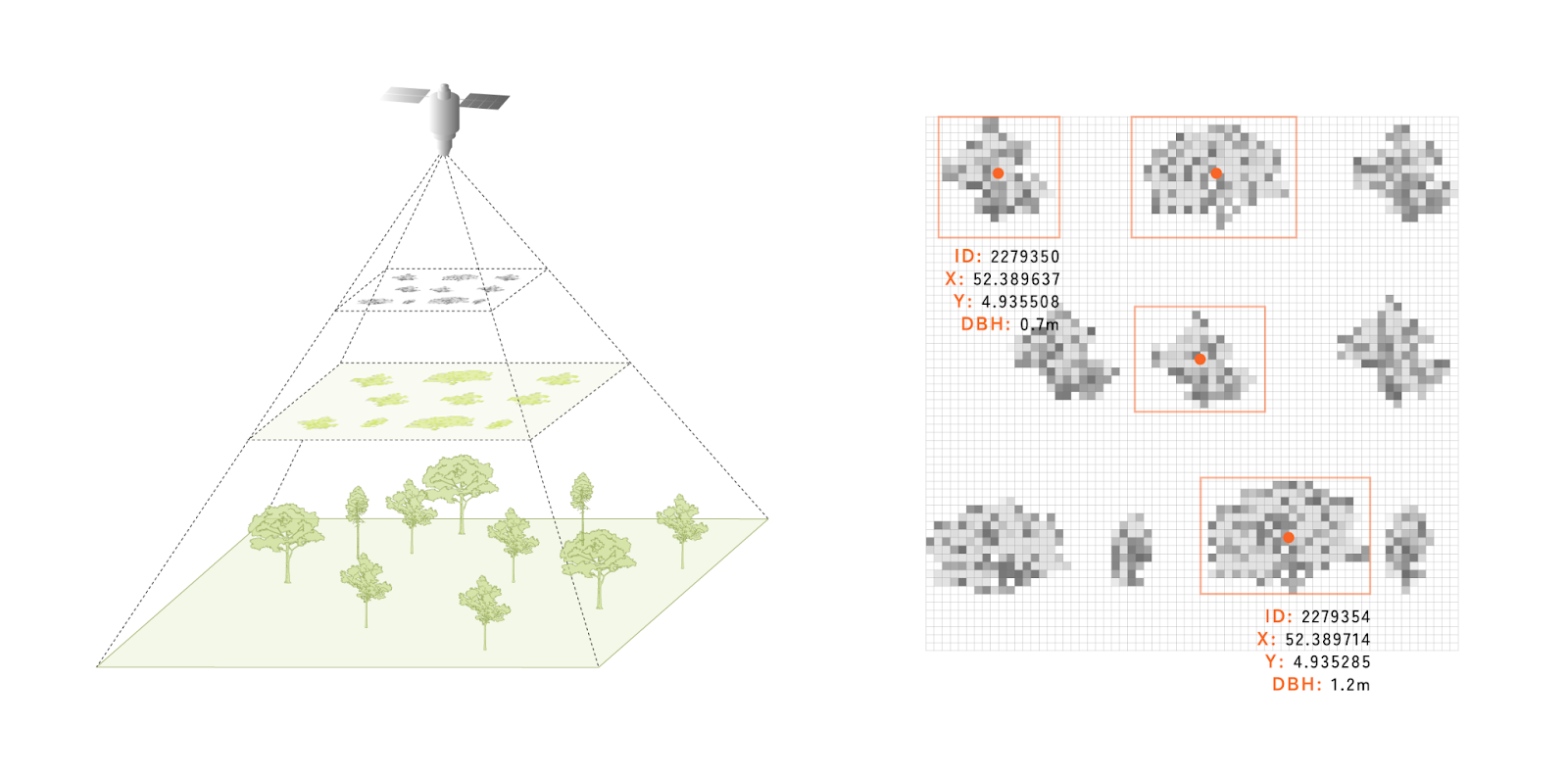 Smart forests illustration